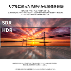 株式会社JAPANNEXTのプレスリリース画像13