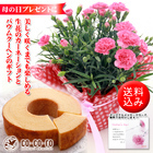 メイドインたんたんのプレスリリース画像3