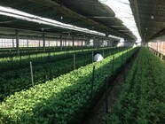 有限会社クールのプレスリリース画像1