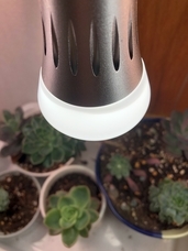 有限会社クールのプレスリリース