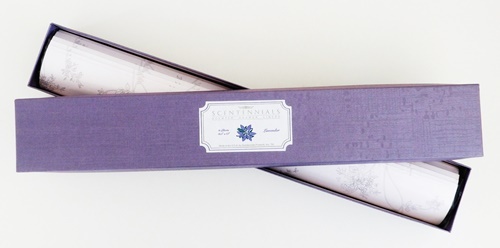 ミカキコネクション合同会社のプレスリリース画像3