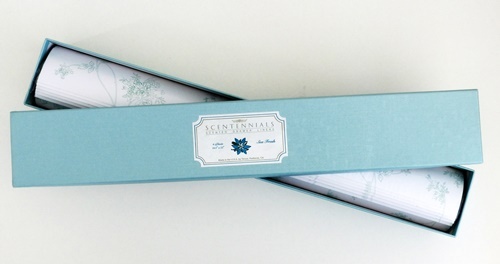 ミカキコネクション合同会社のプレスリリース画像2