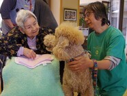 NPO日本アニマルセラピー協会　栃木中央本部のプレスリリース画像1