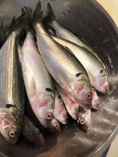 （株）ＳＡＫＥＳＱＵＡＲＥのプレスリリース画像2