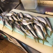 （株）ＳＡＫＥＳＱＵＡＲＥのプレスリリース画像5