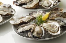 （株）ＳＡＫＥＳＱＵＡＲＥのプレスリリース画像2