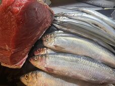 （株）ＳＡＫＥＳＱＵＡＲＥのプレスリリース画像2