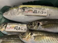 （株）ＳＡＫＥＳＱＵＡＲＥのプレスリリース画像3