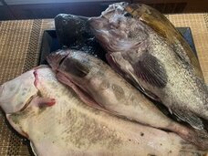 （株）ＳＡＫＥＳＱＵＡＲＥのプレスリリース画像2