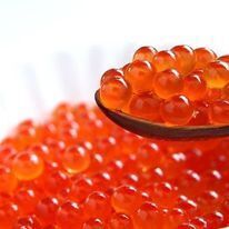 （株）ＳＡＫＥＳＱＵＡＲＥのプレスリリース画像2