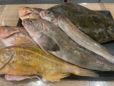 （株）ＳＡＫＥＳＱＵＡＲＥのプレスリリース画像1