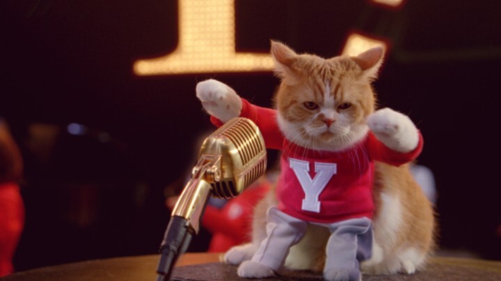 ソフトバンク株式会社のプレスリリース画像8