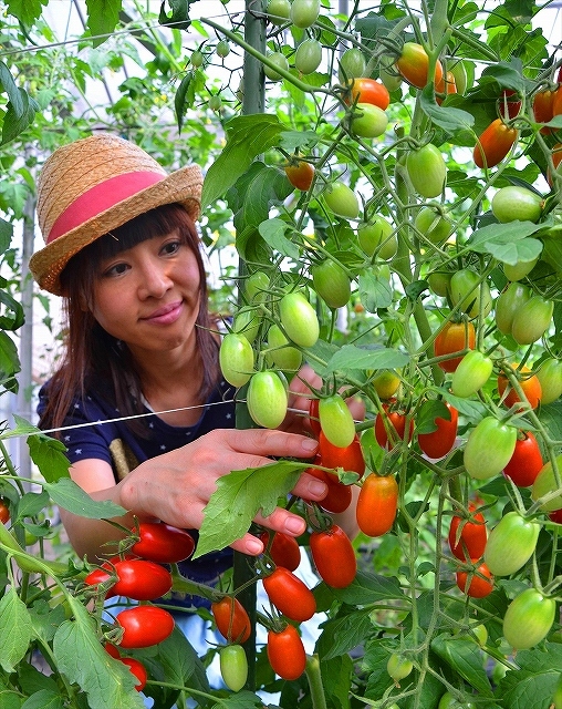 株式会社都わすれのプレスリリース画像6