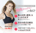 株式会社HEAVEN Japanのプレスリリース画像2