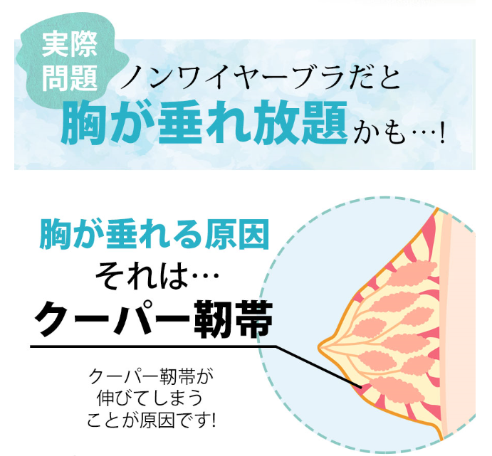 株式会社HEAVEN Japanのプレスリリース画像2