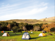 株式会社デンソー  のプレスリリース画像4