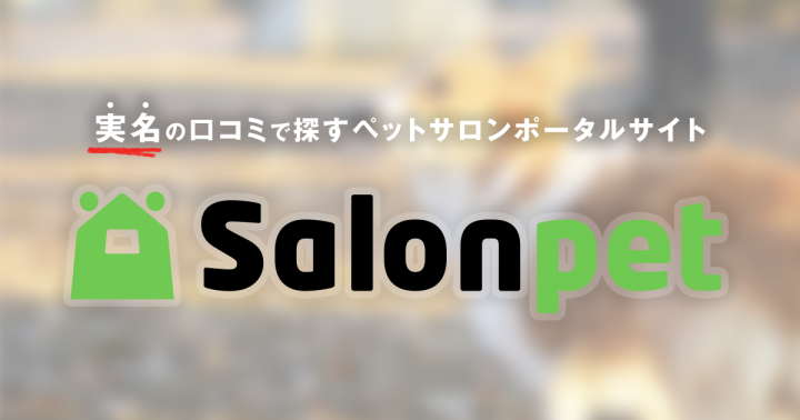 リパレードのプレスリリース画像1