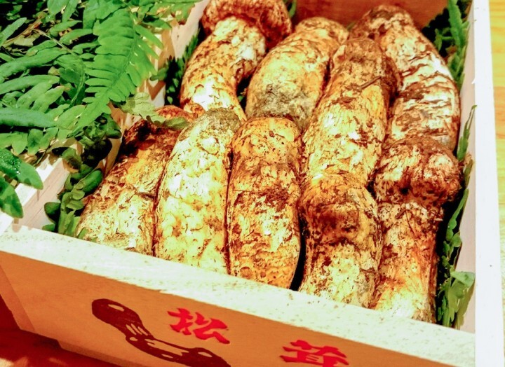 ホテルシェラリゾート白馬のプレスリリース画像6