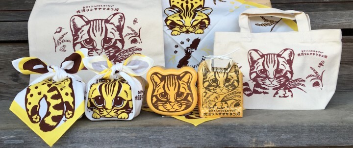 一般社団法人MITのプレスリリース