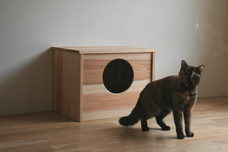 一般社団法人MITのプレスリリース画像7