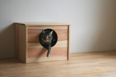 一般社団法人MITのプレスリリース画像6