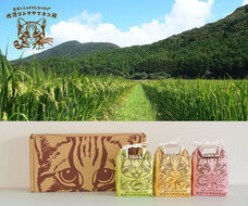 一般社団法人MITのプレスリリース画像11