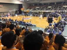 株式会社明治産業のプレスリリース画像1