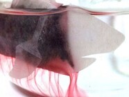 株式会社大翔水産のプレスリリース画像3