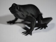 合同会社ニンジャボットのプレスリリース