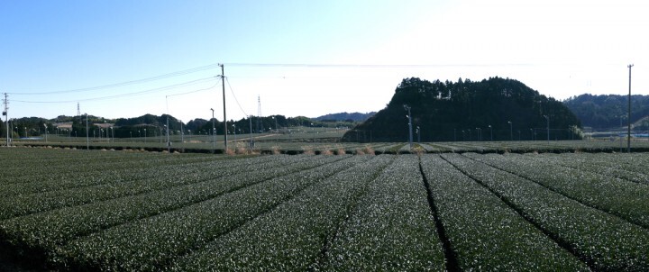 シクロしずおかのプレスリリース画像1