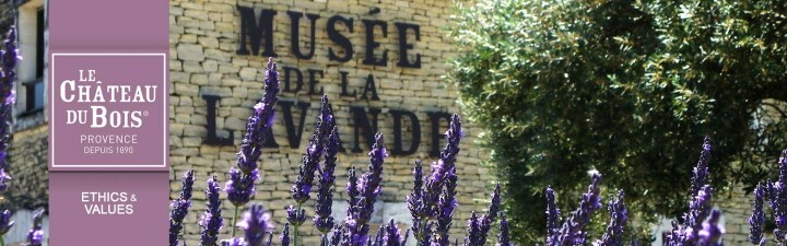 ポルテボヌール株式会社のプレスリリース画像4