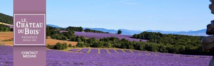 ポルテボヌール株式会社のプレスリリース画像5