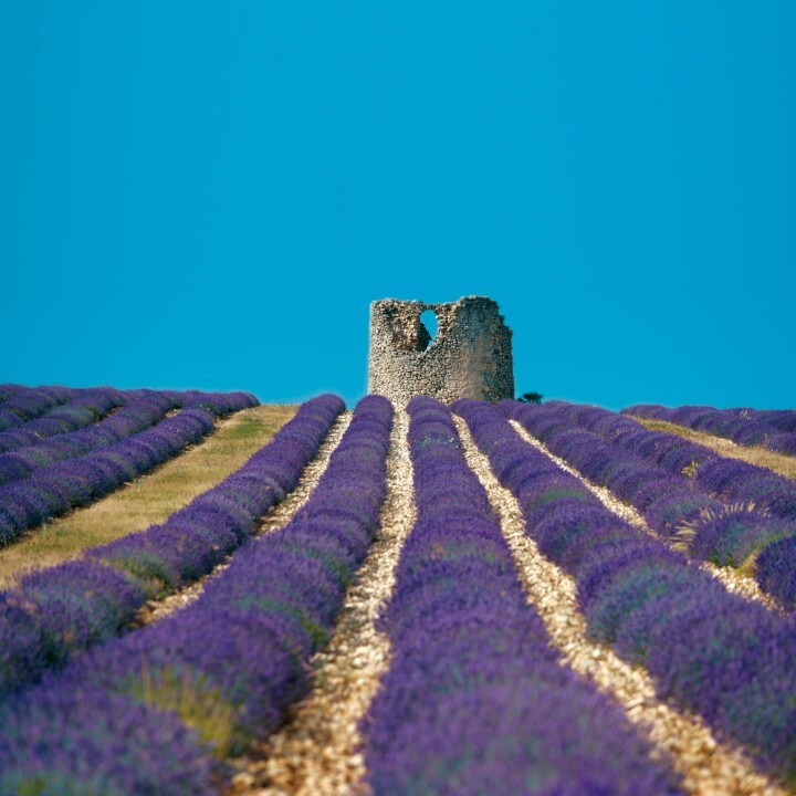 ポルテボヌール株式会社のプレスリリース画像8