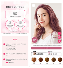 パーフェクト株式会社のプレスリリース画像1