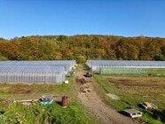 農業法人（株）ふるさとファームのプレスリリース画像1