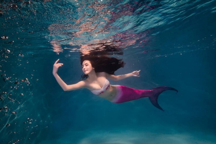 ＰＡＮＤＯＲＡ株式会社のプレスリリース画像3