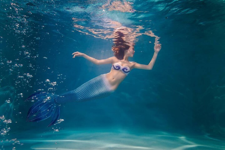 ＰＡＮＤＯＲＡ株式会社のプレスリリース画像1