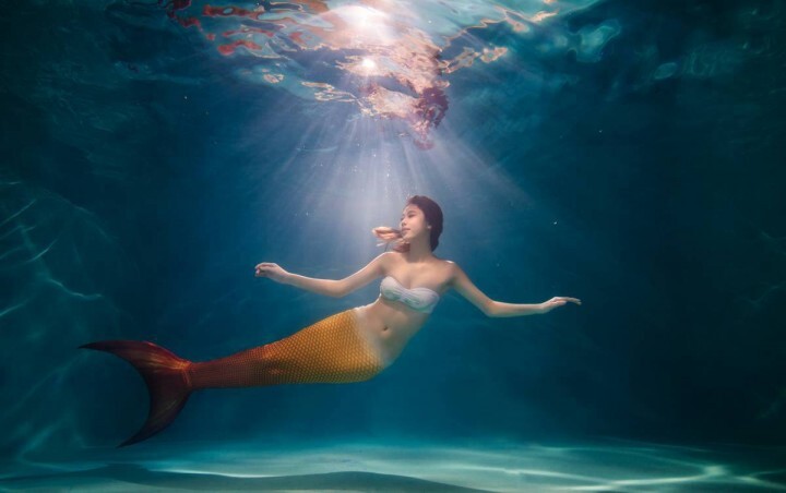 ＰＡＮＤＯＲＡ株式会社のプレスリリース画像2