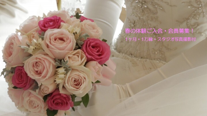 マリーブリッジのプレスリリース画像1