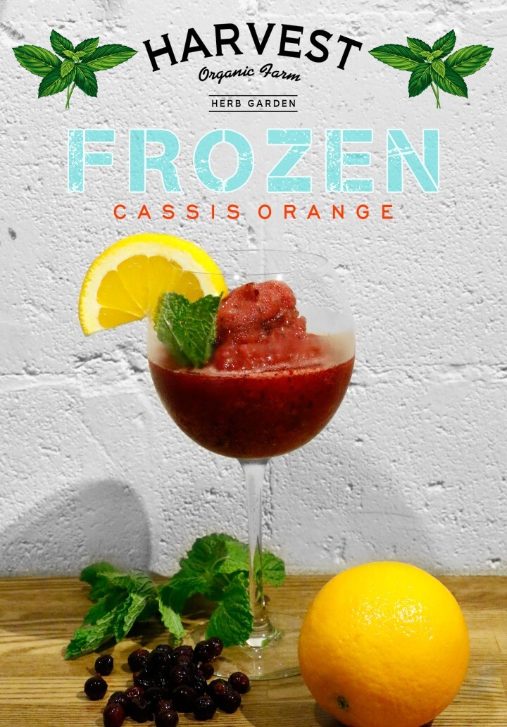 有限会社スリーハンドレッドバーのプレスリリース画像2