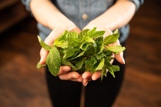 有限会社スリーハンドレッドバーのプレスリリース画像3