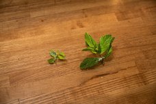 有限会社スリーハンドレッドバーのプレスリリース画像4