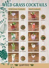 有限会社スリーハンドレッドバーのプレスリリース画像2