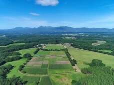 有限会社スリーハンドレッドバーのプレスリリース画像3