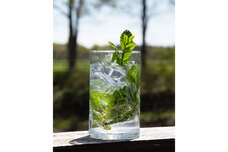 有限会社スリーハンドレッドバーのプレスリリース画像1