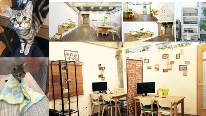 HOMEmadeHOME株式会社のプレスリリース画像1