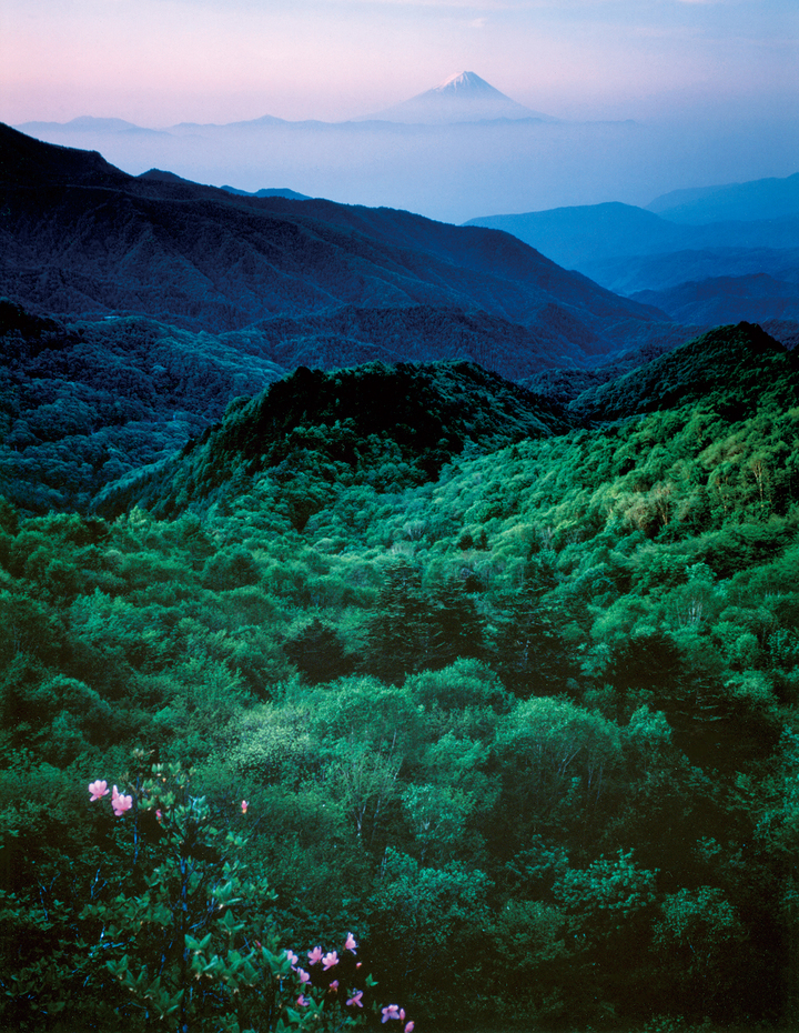 プラチナ万年筆株式会社のプレスリリース画像7