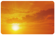 プラチナ万年筆株式会社のプレスリリース画像9