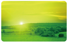 プラチナ万年筆株式会社のプレスリリース画像7