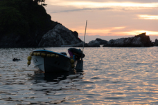 有限会社ヤマキイチ商店のプレスリリース画像7